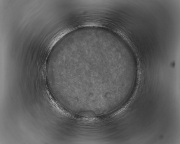 X0000116051129200912111458