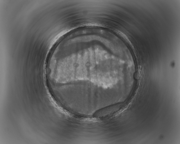 X0000116051133200912111458