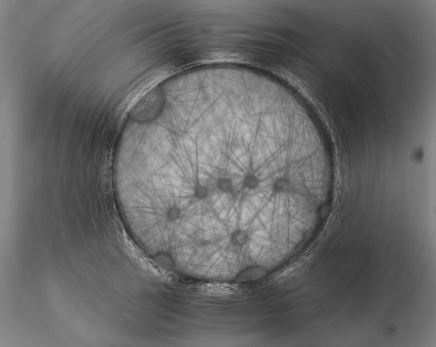 X0000116051137200912111458