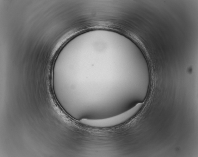 X0000116051138200912111458