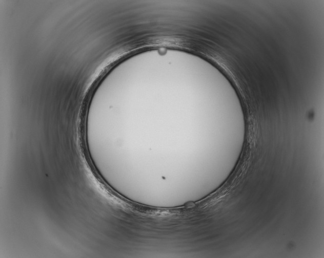 X0000116051139200912111458