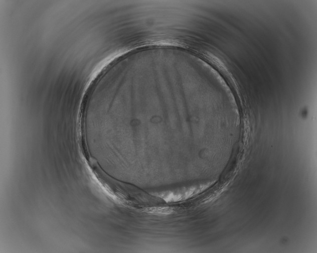 X0000116051141200912111458