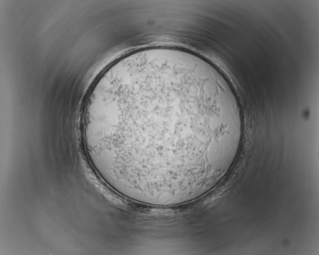 X0000116051142200912111458