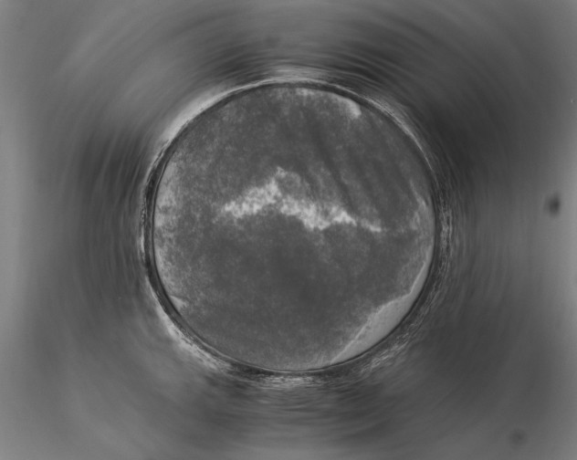 X0000116051143200912111458