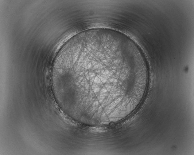 X0000116051145200912111458