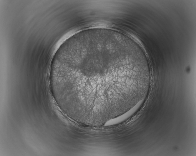 X0000116051146200912111458