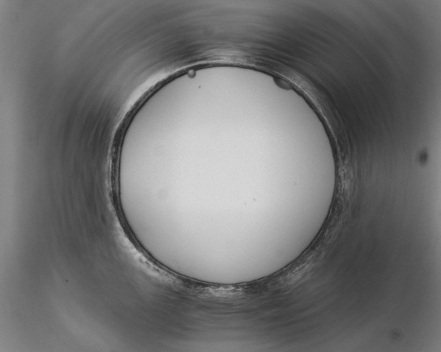 X0000116051147200912111458