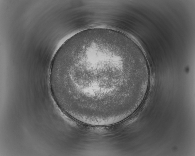 X0000116051149200912111458
