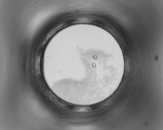 X0000116051150200912111458