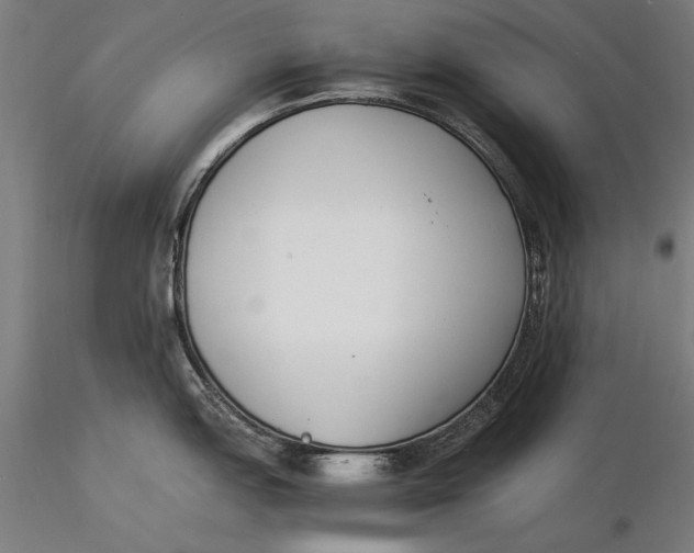 X0000116051151200912111458