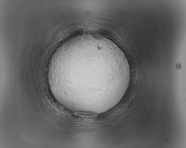 X0000116051153200912111457