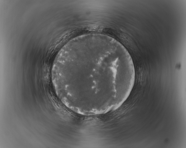 X0000116051154200912111457