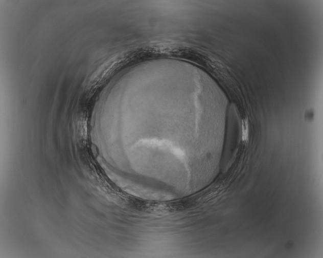 X0000116051155200912111457