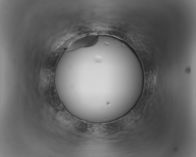 X0000116051157200912111457
