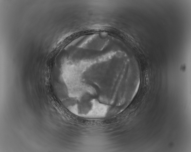 X0000116051158200912111457