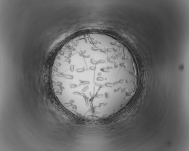 X0000116051159200912111457
