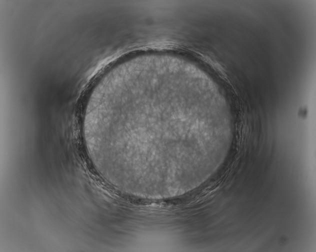 X0000116051160200912111457