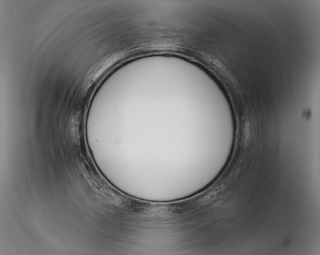 X0000116051162200912111457