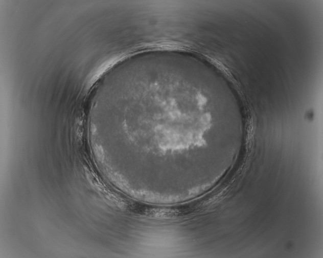 X0000116051163200912111457