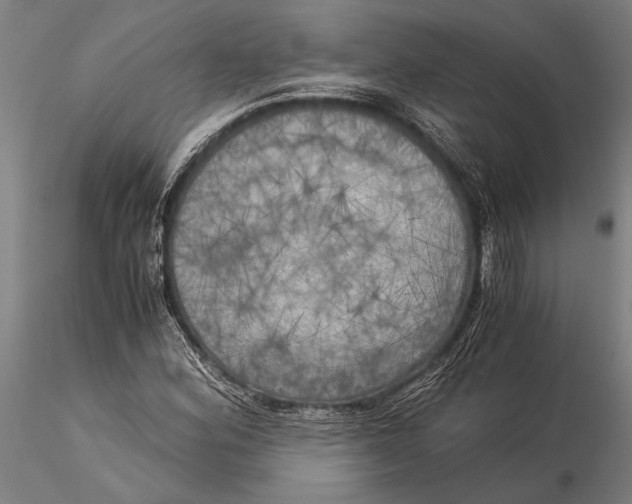 X0000116051164200912111457
