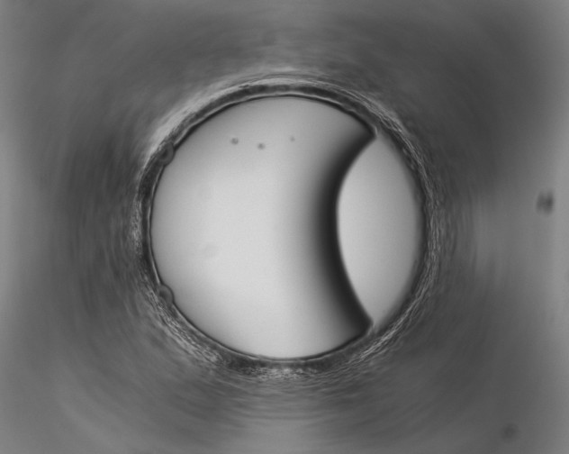 X0000116051167200912111457