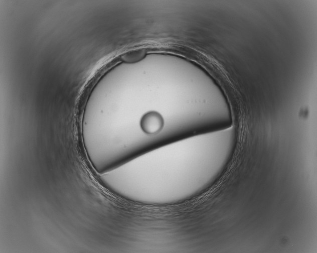 X0000116051168200912111457