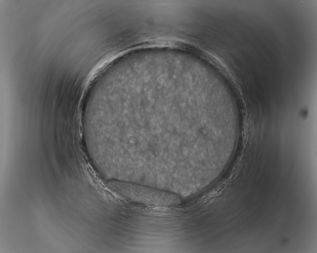 X0000116051172200912111457