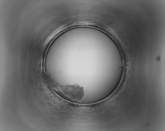 X0000116051173200912111457