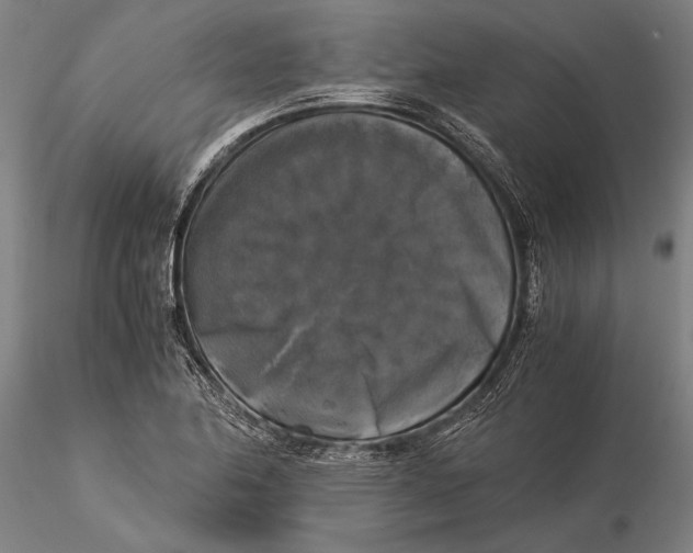 X0000116051174200912111457