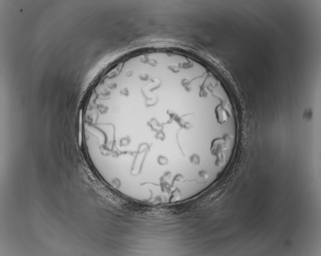 X0000116051175200912111457
