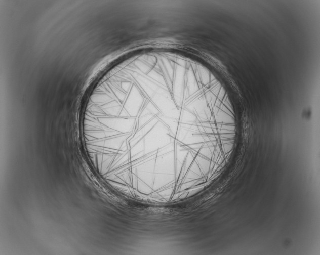 X0000116051176200912111457