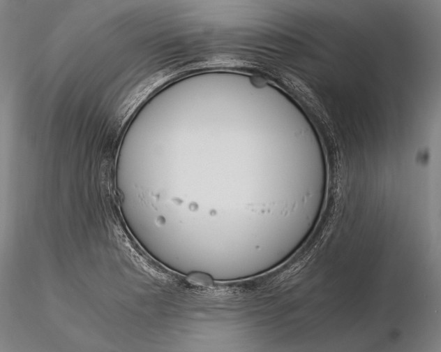 X0000116051177200912111457