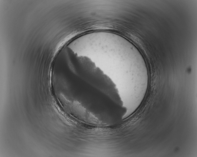 X0000116051179200912111457