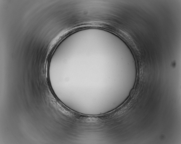 X0000116051180200912111457