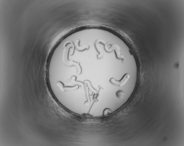 X0000116051183200912111457