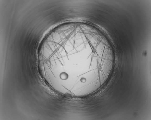 X0000116051184200912111457