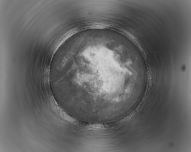 X0000116051186200912111457