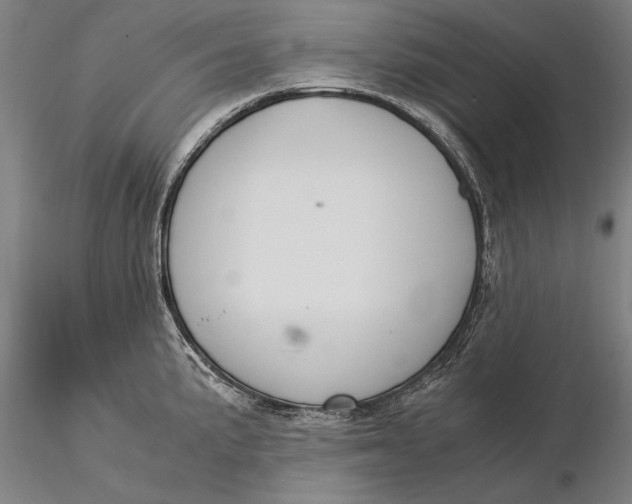 X0000116051191200912111457