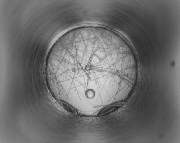 X0000116051192200912111456