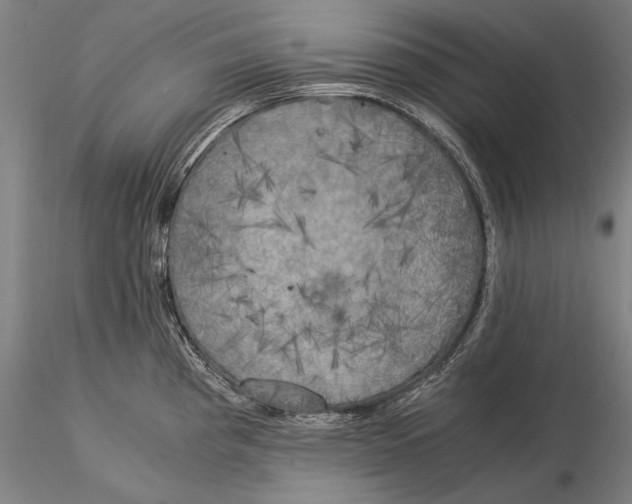 X0000116051193200912111456
