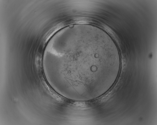 X0000116051194200912111456