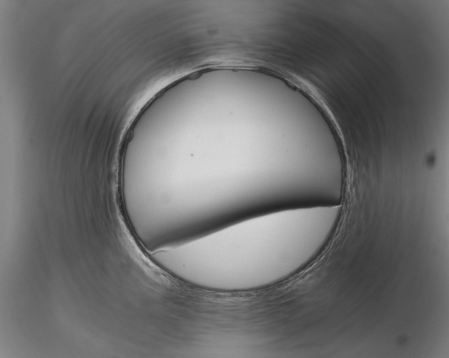 X0000116051195200912111456