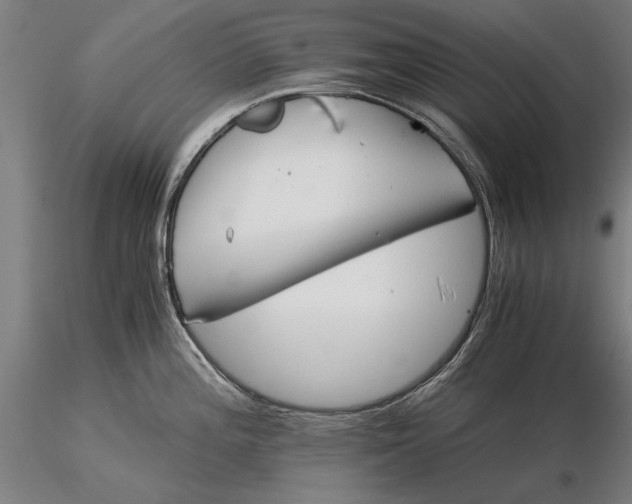 X0000116051196200912111456