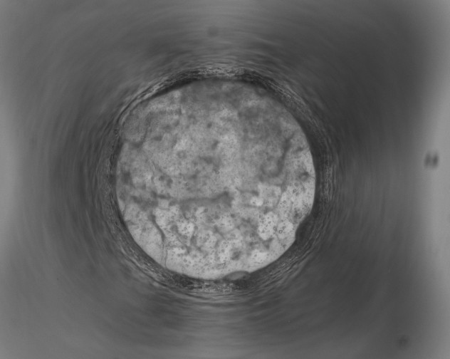 X0000116051201200912111456
