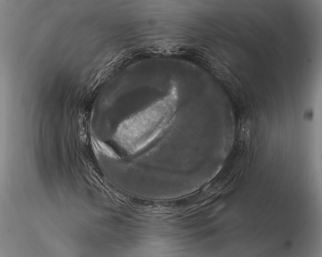 X0000116051202200912111456