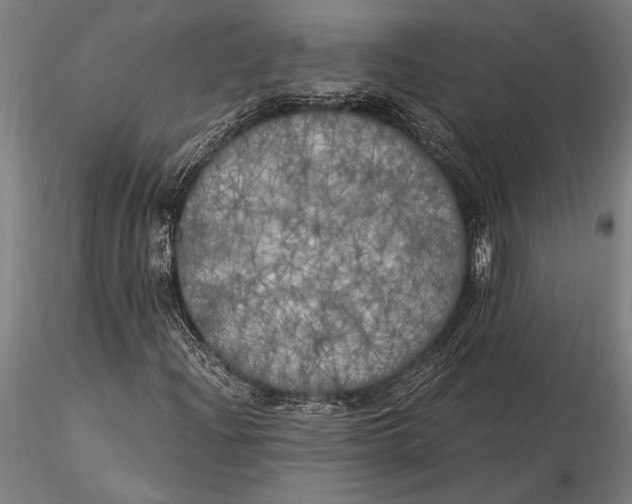 X0000116051204200912111456