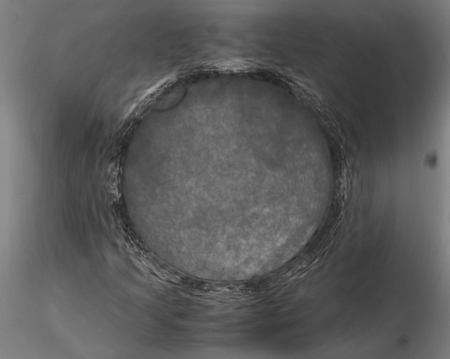 X0000116051205200912111456
