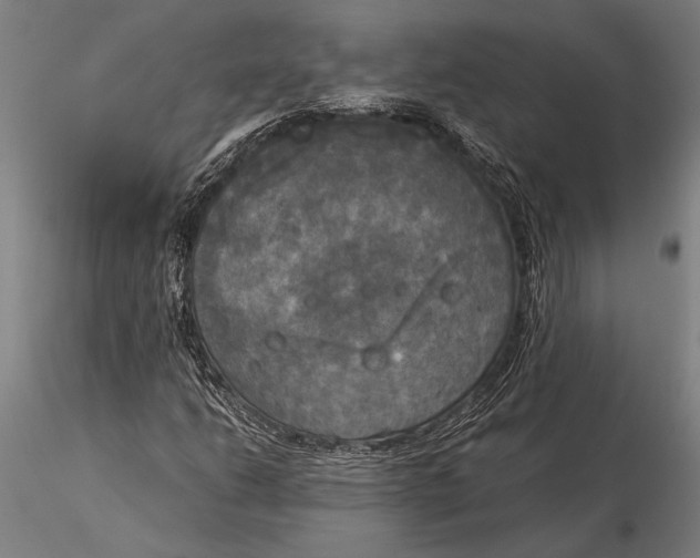 X0000116051206200912111456