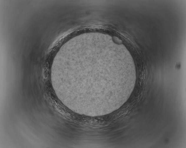 X0000116051207200912111456