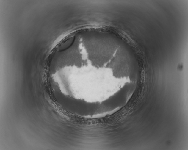 X0000116051208200912111456